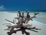 Smallpic Wellness Beach