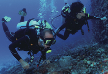 Divers High