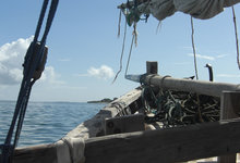 Pole Dhow Trip 0035